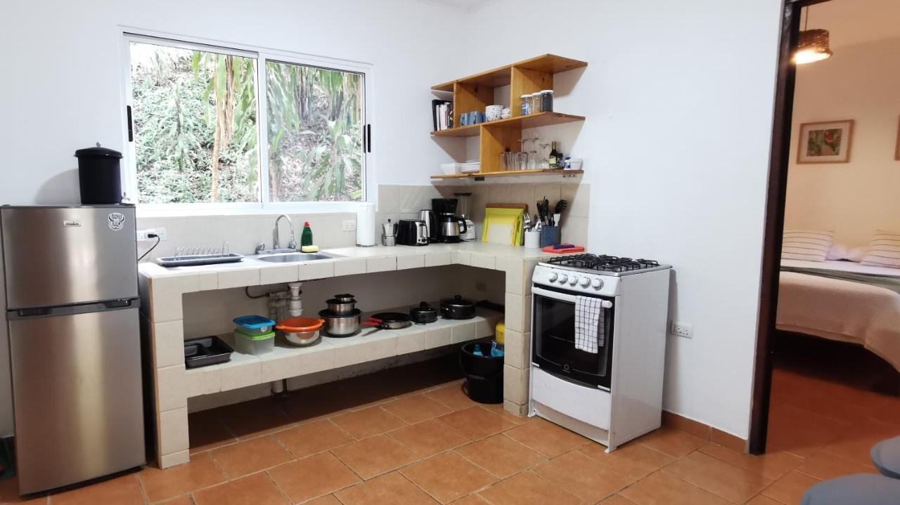 Colibri Apartments - 4 Min Walk To The Beach! Playa Santa Teresa  Esterno foto