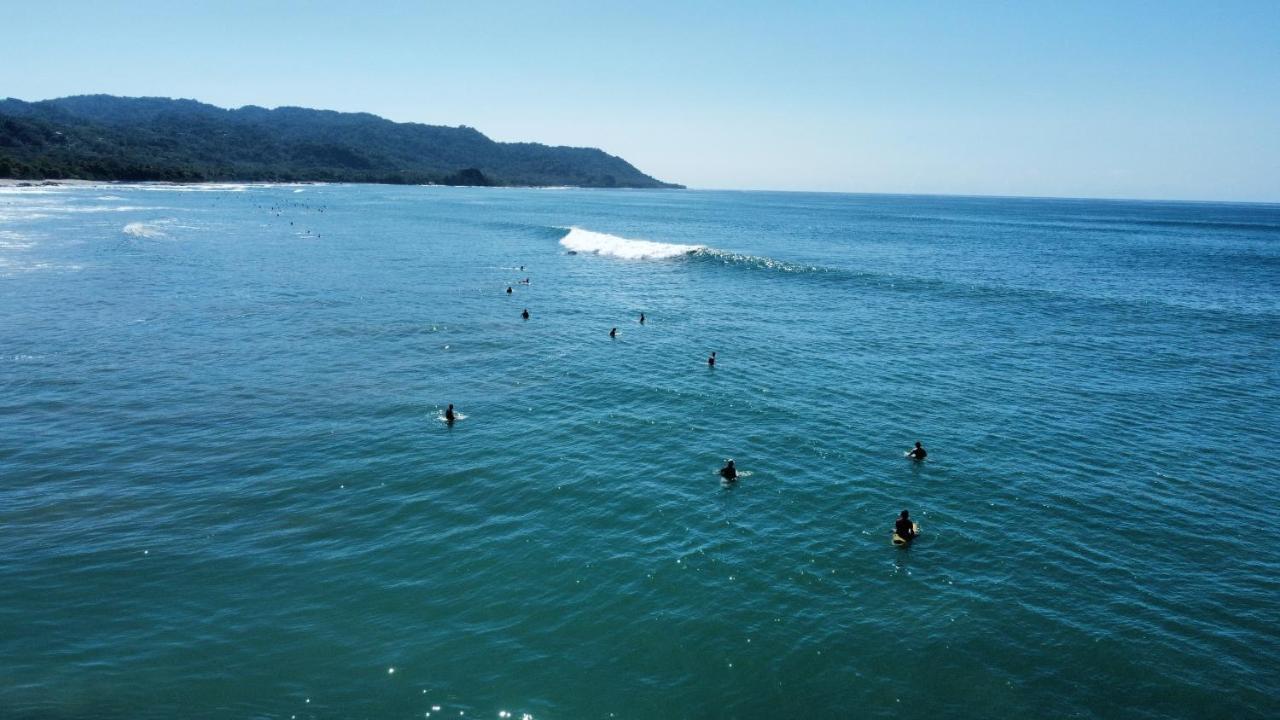 Colibri Apartments - 4 Min Walk To The Beach! Playa Santa Teresa  Esterno foto